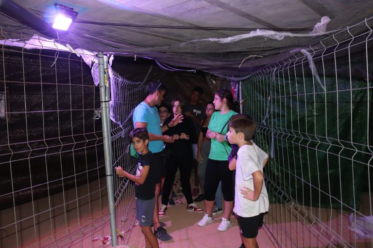 Comienza la preparación del decorado del Pasaje del terror 2022