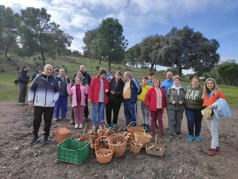 Éxito de la VI Ruta Micológica de Marmolejo