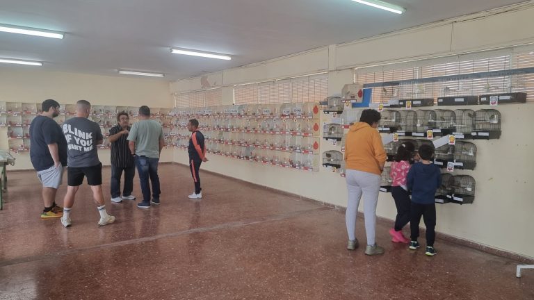 Celebrado el Concurso Local y Exposición Ornitológica de Marmolejo