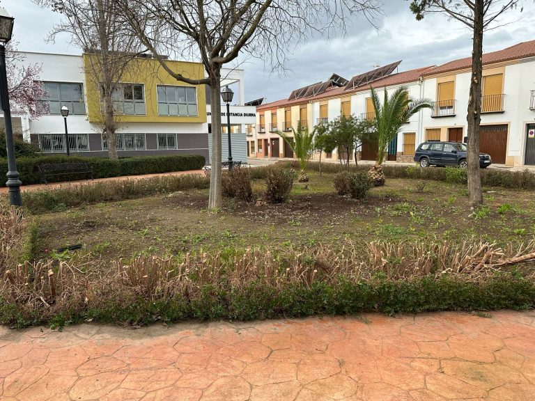 Mantenimiento y poda en la Plaza de las Antípodas